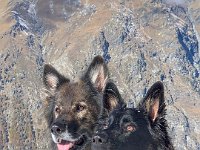 Shani und Gitan